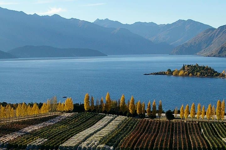 Classic Wanaka Wine Tour: Central Otago Boutique Vineyard Day Trip photo 2