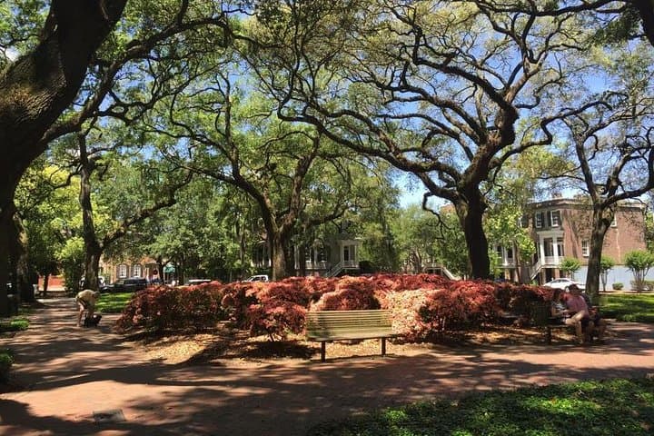 Exploring Savannah’s Historic District: A Walking Tour Through Time and Culture