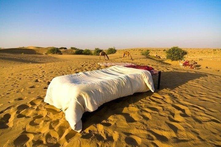 Overnight Camel Safari in Jaisalmer's Thar Desert — Sleep Under the Stars