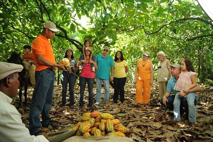 La Esmeralda Cacao Plantation & Chocolate Factory Tour in Punta Cana photo 1