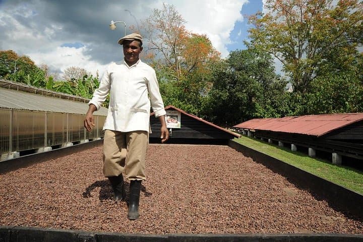 La Esmeralda Cacao Plantation & Chocolate Factory Tour in Punta Cana photo 2