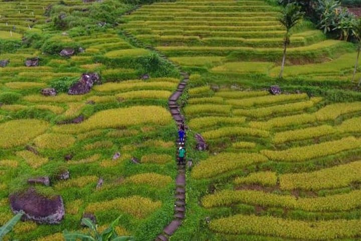 Ramboda Village Trek: Waterfalls, Tea Paths & Authentic Village Lunch