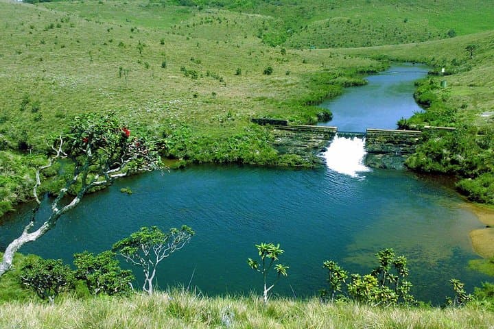5-Day Sri Lanka Central Highlands Tour: World's End, Tea Trails & Kandy photo 2