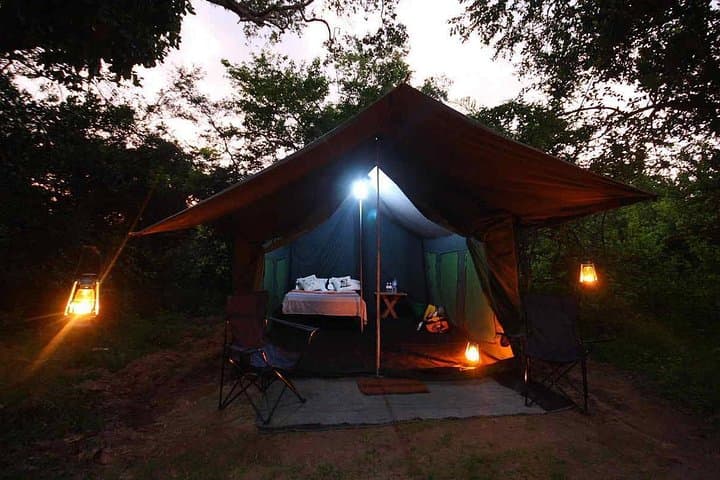 8-Day Private Sri Lanka Wildlife & Adventure Tour from Colombo photo 2