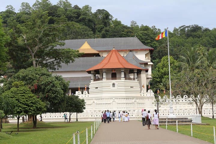 2-Day Private Tour from Colombo: Sigiriya, Minneriya & Kandy Highlights
