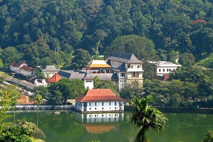 Last Kingdom Private Day Tour in Kandy — Temple, Tea & Spice Garden Day Trip