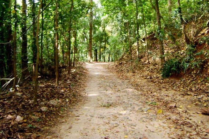 Udawatte Kele Sanctuary: Private Birdwatching & Nature Trekking in Kandy