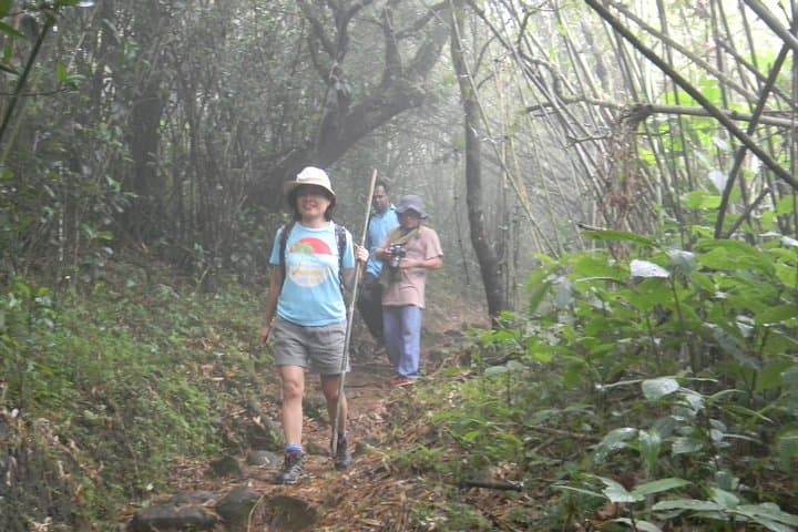 Knuckles Waterfall Trek: 10km Day Hike from Kandy photo 2