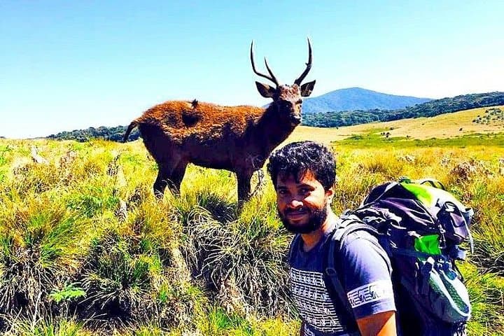 Summit Kirigalpoththa: Private Hike Through Horton Plains National Park photo 2