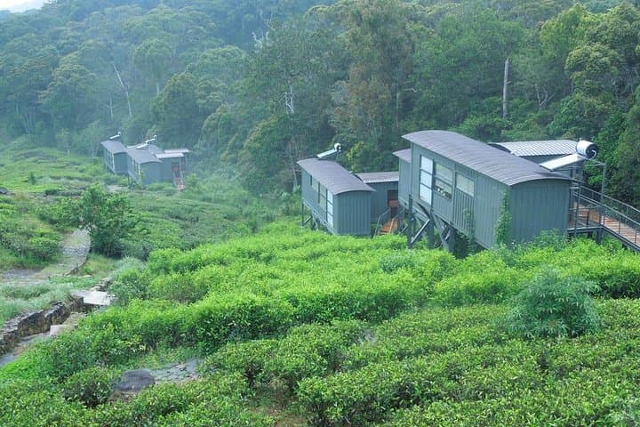 Overnight Sinharaja Rainforest Trek — Private All-Inclusive Eco Lodge Experience photo 2