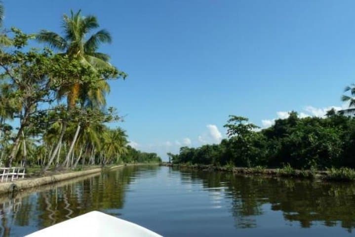 Muthurajawela Bird Watching TukTuk & Boat Tour from Negombo photo 2