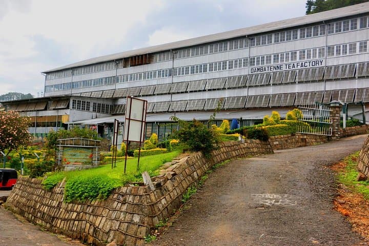 Lipton's Seat & Dambetenna Tea Factory Day Trip from Ella photo 3