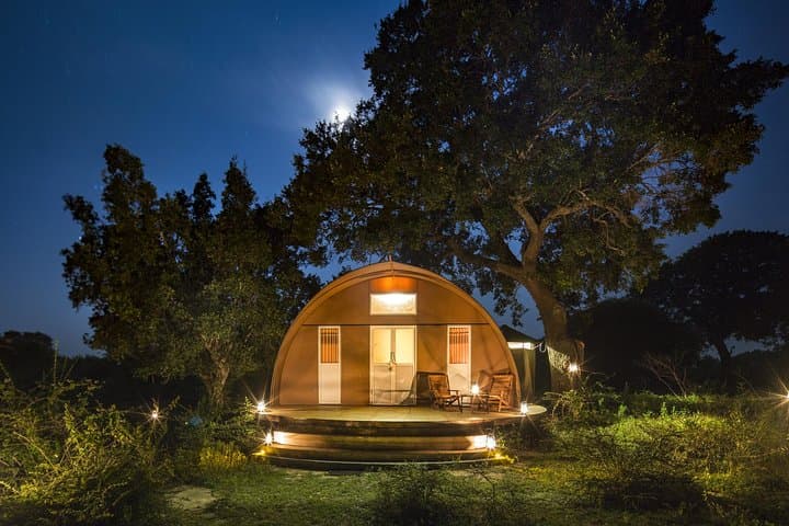 Luxury Leopard Nest: 3-Day Yala & Bundala Wildlife Camp