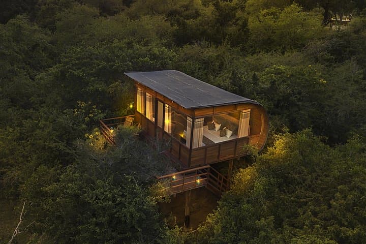 Luxury Yala Safari Camping: 2-Night All-Inclusive Wildlife Experience photo 2