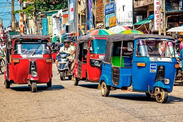 Galle Rickshaw Sightseeing: Private 5‑Hour Tuk‑Tuk Tour to Turtle Hatchery, Stilt Fishermen & Cinnamon Island
