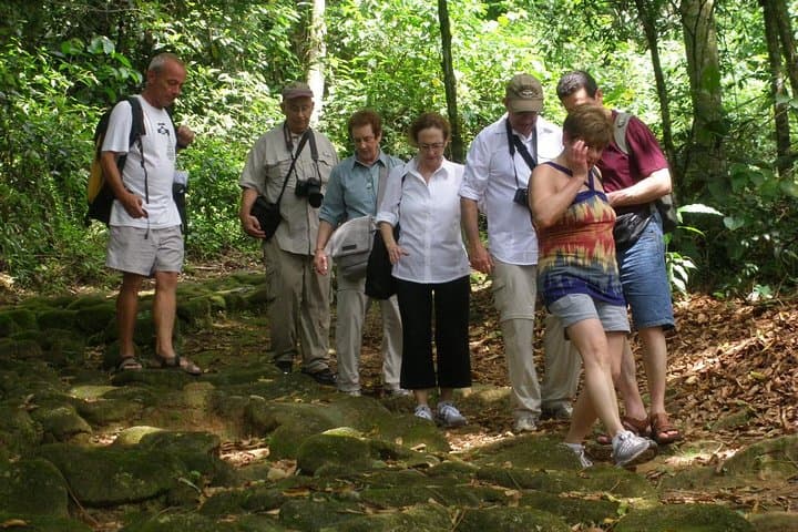 Hiking the Gold Trail: Paraty's Historic Atlantic Forest Walk photo 2