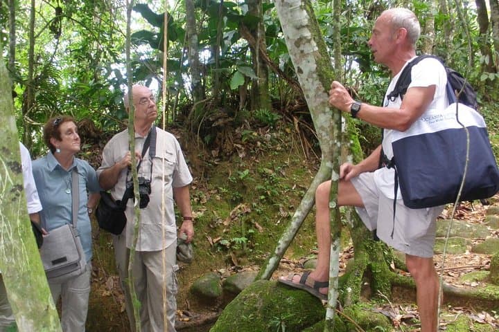 Hiking the Gold Trail: Paraty's Historic Atlantic Forest Walk photo 3