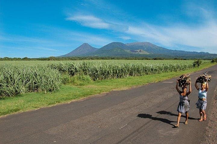Cerro Verde National Park and Lake Coatepeque: Volcano Rim Walks and Lakeside Lunch photo 2