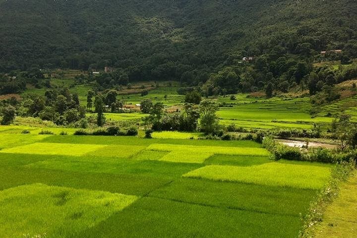 Bungamati and Khokana Newari Village Half-Day Tour — Cultural Walk from Kathmandu photo 2