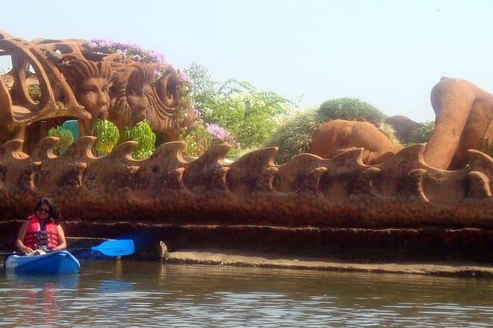 Kayak the Mangroves of Spike's River — Goa Kayaking & Birdwatching Tour photo 2
