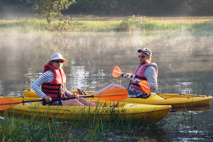 Mangroves Magic: Kayak Goa's Backwater Mangroves photo 2