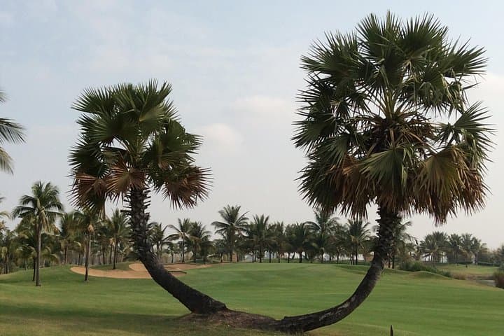 Two Rounds of Championship Golf in Siem Reap Near Angkor photo 3