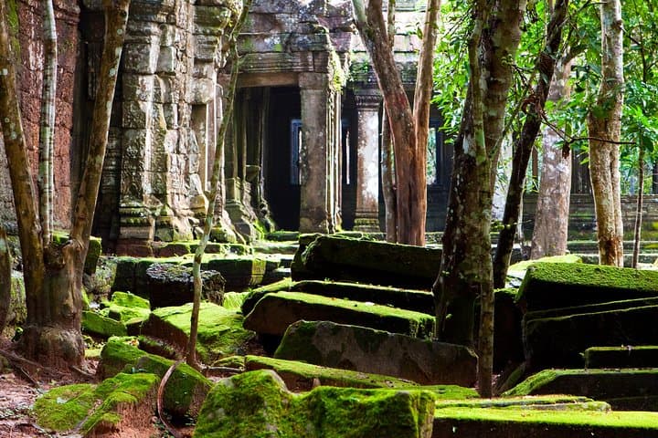 Beng Mealea & Koh Ker: Full-Day Off-Beat Temple Tour from Siem Reap photo 3