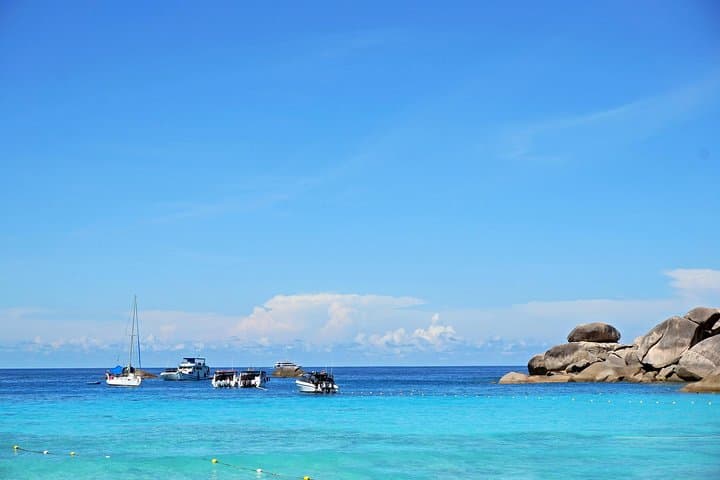 Full-Day Snorkeling Similan Islands from Khao Lak — Speedboat to Coral Gardens photo 6