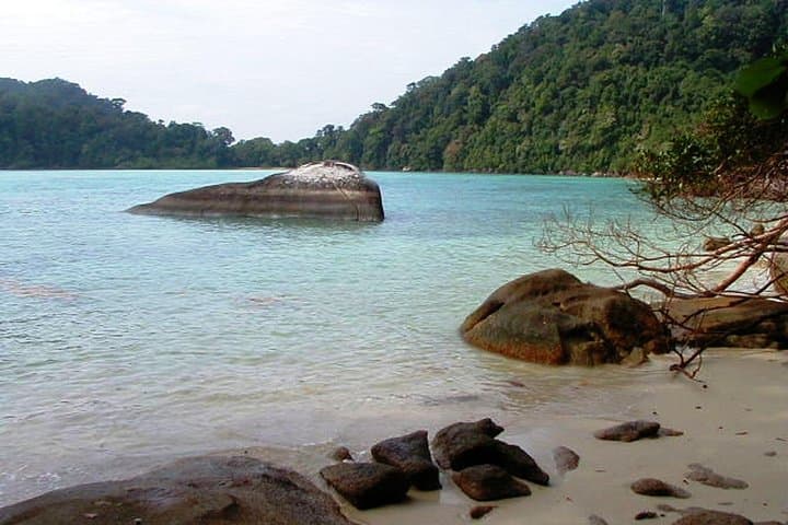 Surin Islands Snorkeling Escape from Khao Lak: Day Trip to Pristine Coral Reefs photo 5