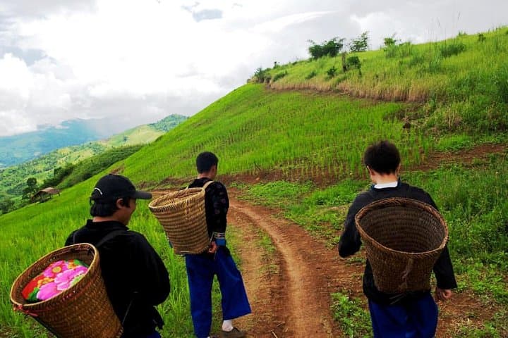 Doi Tung Royal Villa & Hill Tribes: Half-Day Chiang Rai Cultural Tour photo 2
