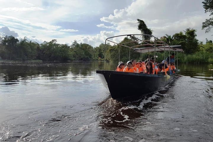 Klias Mangrove River Cruise: Proboscis Monkeys, Mangroves and Fireflies