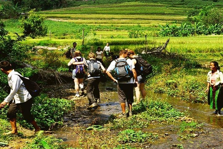 Ba Be National Park Discovery: 3-Day Homestay, Trekking & Boat Tour from Hanoi