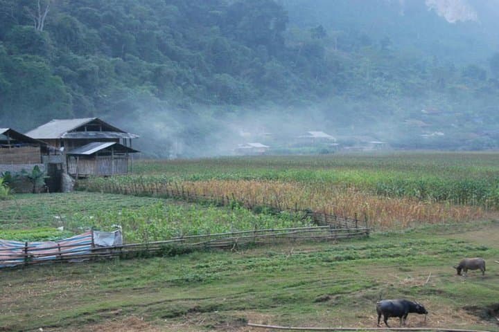 Kayak Ba Be Lake: 2-Day Homestay, Caves & River Paddle from Hanoi photo 2