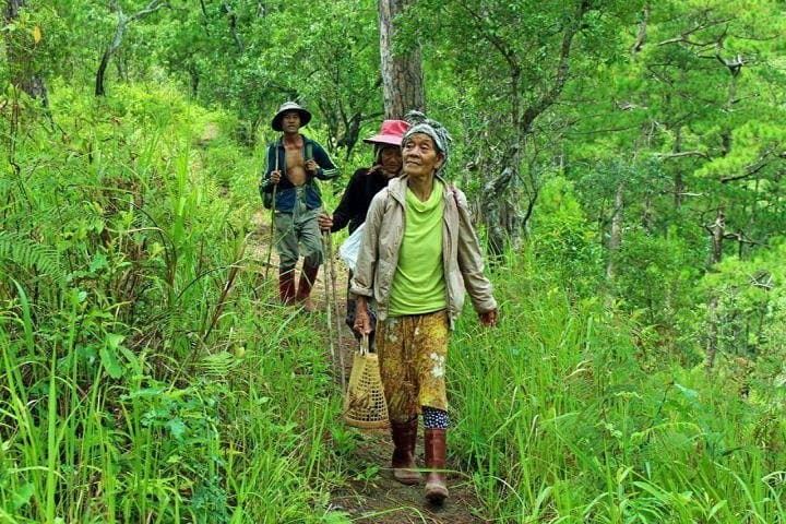 Dong Iar Jieng Monkey Mountain Trek: 3-Day Trek from Da Lat into Bidoup Rainforest