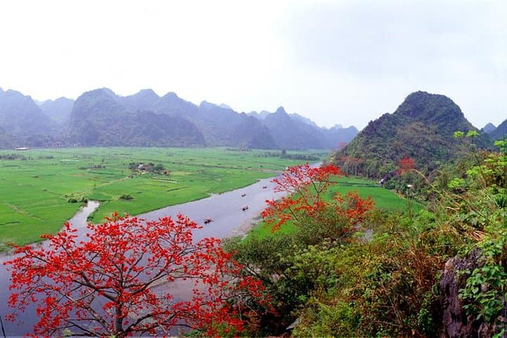 Perfume Pagoda Full-Day Tour from Hanoi: Boat, Cave & Mountain Pilgrimage