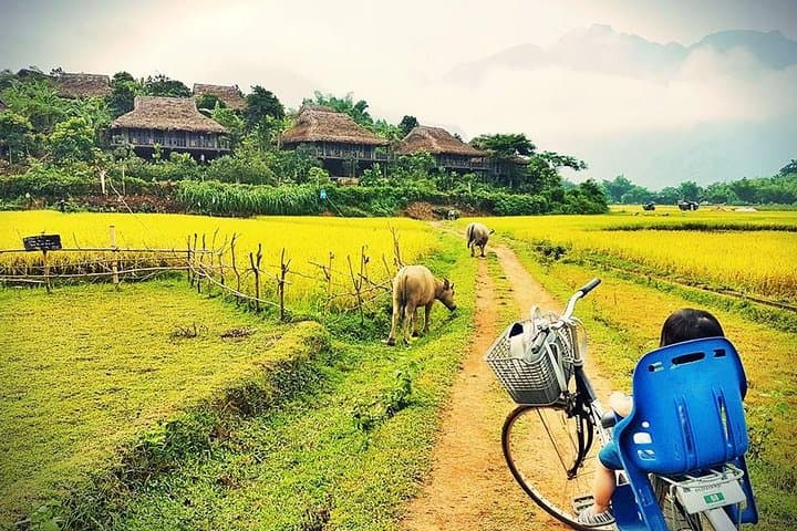 3-Day Mai Chau & Pu Luong Trek: Rice Terraces, Waterfalls & Thai Homestays photo 2