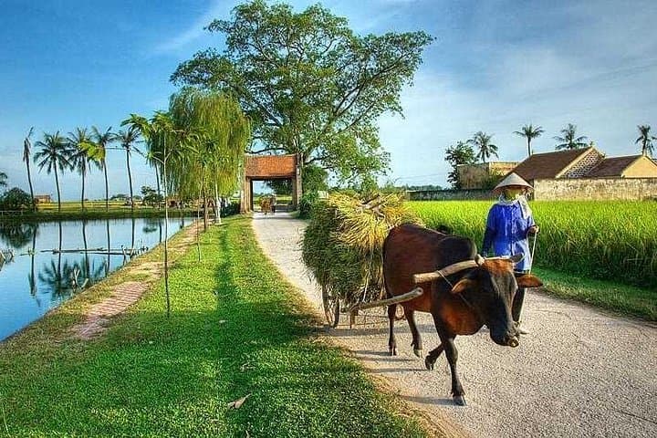 Duong Lam Ancient Village Full-Day Tour from Hanoi — Traditional Village Life & Mia Pagoda