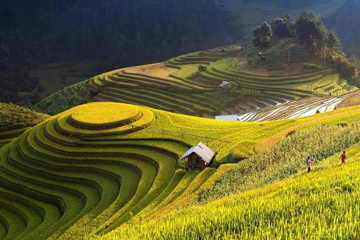 4-Day Hoang Su Phi Trek: Terraced Rice Fields, Hill-tribe Homestays from Hanoi photo 2