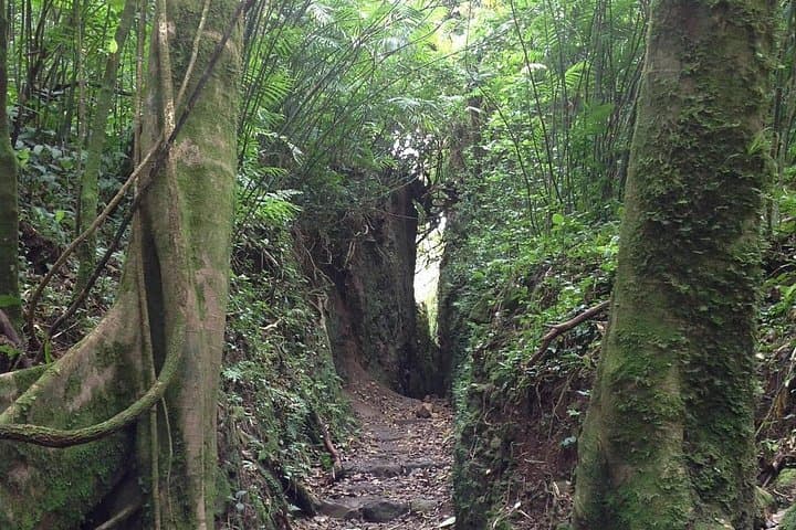 Mombacho Volcano Hike and Zipline Adventure — Day Trip from San Juan del Sur photo 1