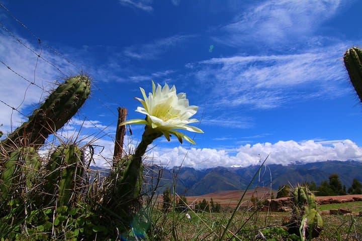 Hike and History: Full-Day Sacred Valley Tour from Cusco to Moray, Maras & Perolniyoc Falls photo 2
