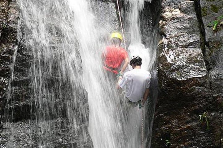 Tijuca National Park Hike and Waterfall Rappelling — Rio de Janeiro Adventure photo 1