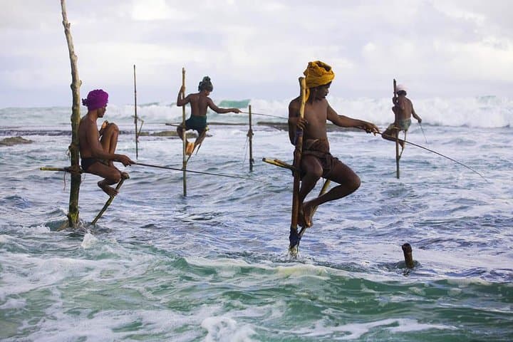 Sri Lanka 7-Day All-Inclusive Tour: Kandy, Ella, Yala & Mirissa Highlights photo 2