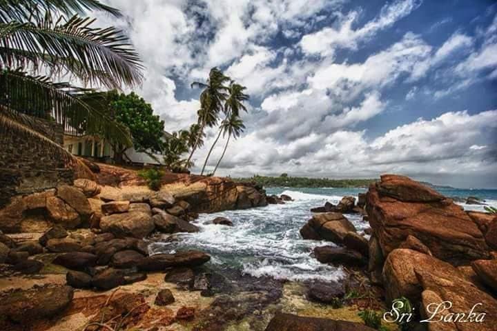 Private 6-Day Sri Lanka Sightseeing Tour: Kandy, Tea Country, Yala & Mirissa photo 2