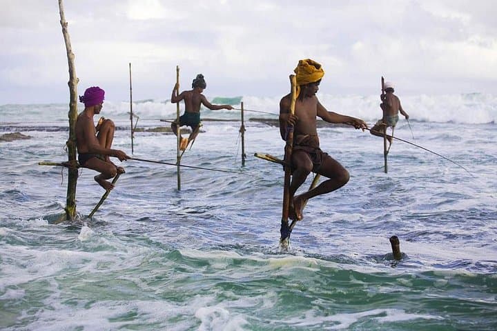 4-Day Sri Lanka Coast Tour — Galle, Mirissa Whales & Yala Safari photo 2