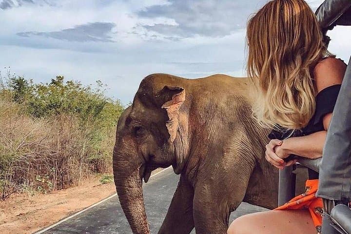 8-Day Private Sri Lanka Tour: Galle, Safari, Ella Train & Kandy photo 1