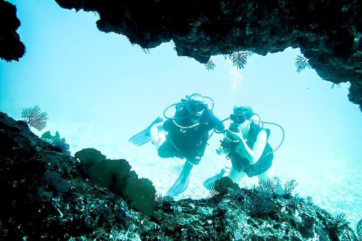 Dive the Marietas Islands: Two-Tank Scuba Adventure in Banderas Bay photo 2