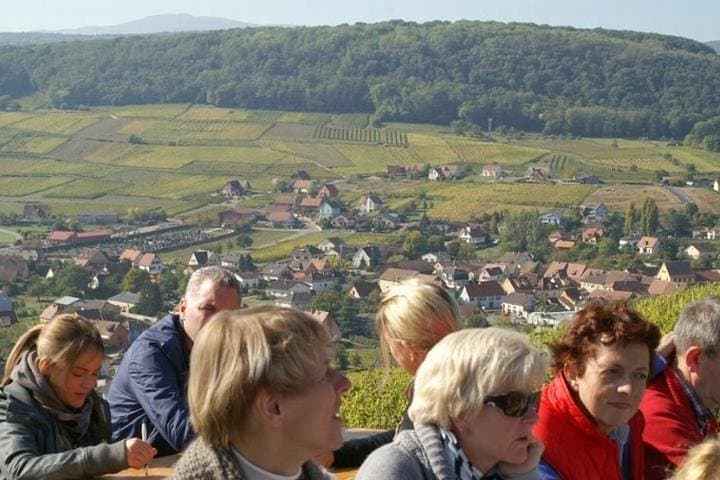 Alsace Villages and Wine: Private Day Trip from Gerardmer