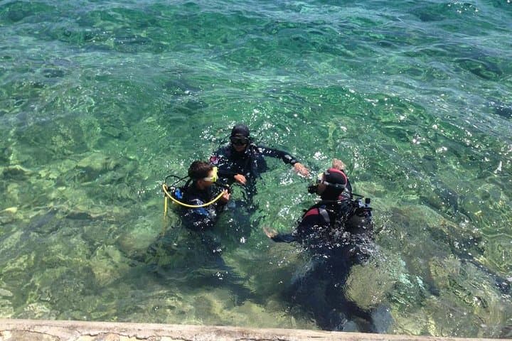 Try Scuba Diving in Pula: Beginner House-Reef Dives on Verudela Peninsula photo 4