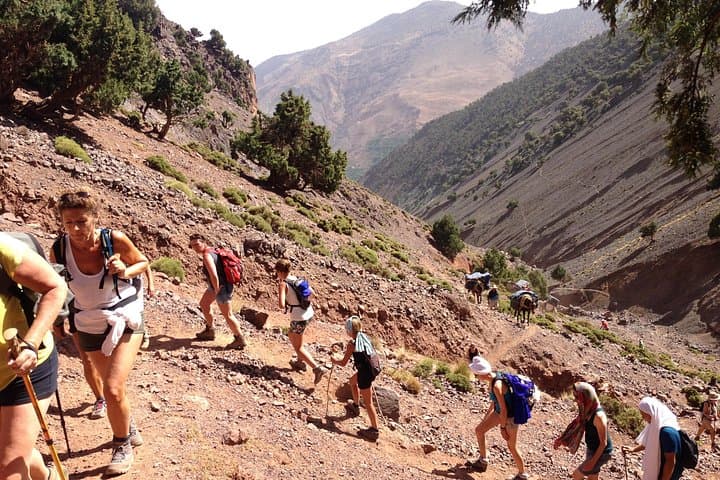 High Atlas Full-Day Trek: Imlil Passes, Berber Villages & Toubkal Views photo 1