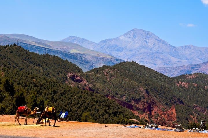 Ourika Valley Day Trip from Marrakech: Waterfalls, Berber Villages & Camel Ride photo 2